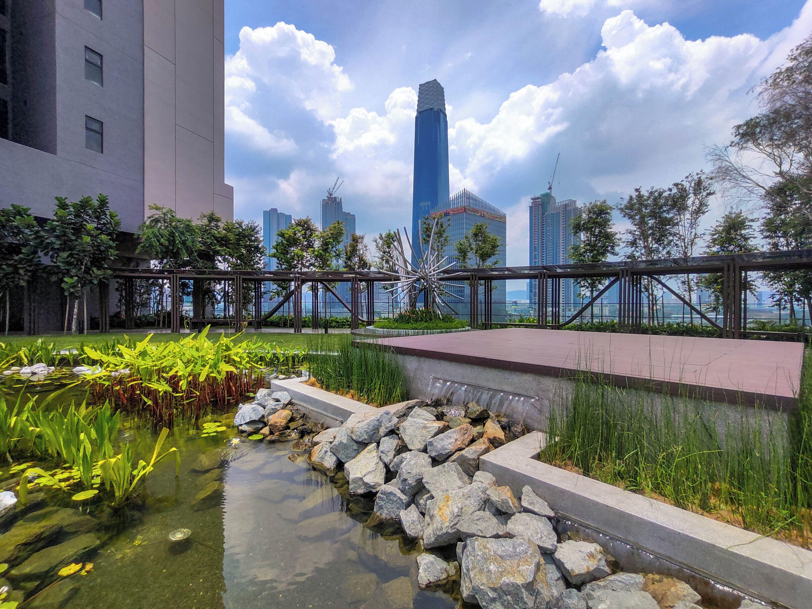 A rooftop garden with a pond, rocks, and plants.