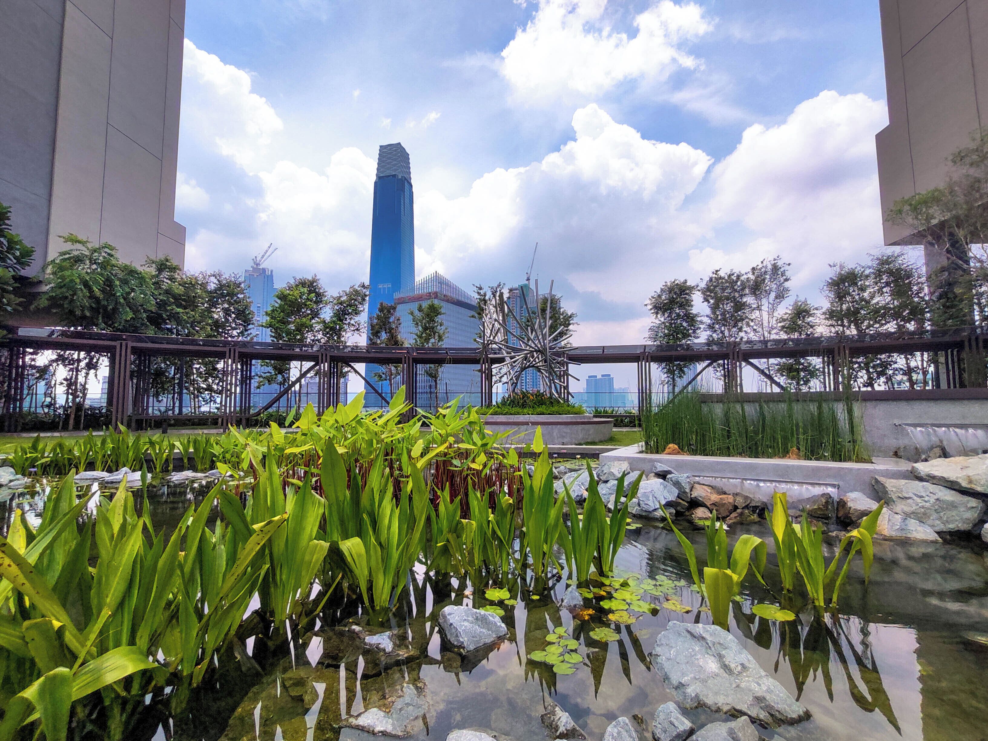 A rooftop garden with a pond, plants, and a view of a tall blue building in the background.