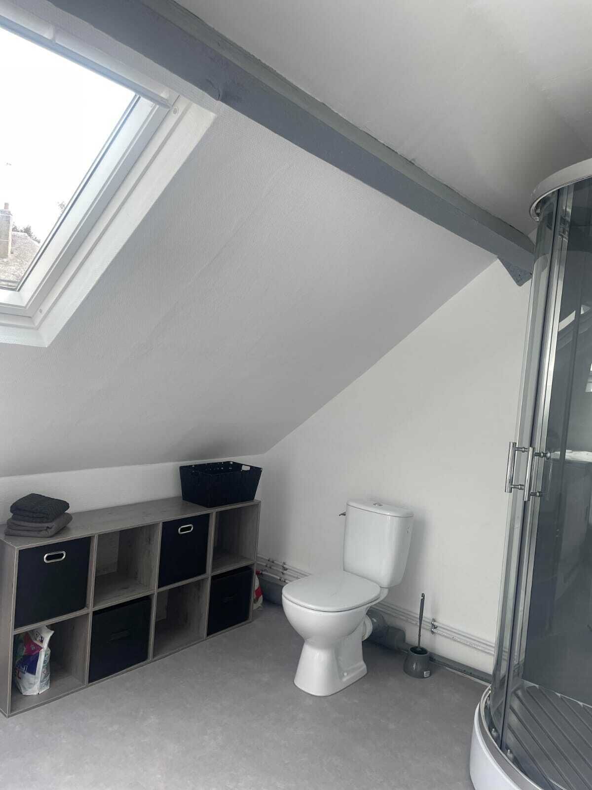 A compact bathroom with a skylight, a toilet, and a shower enclosure.