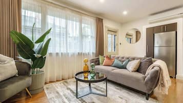 TV, fireplace, books