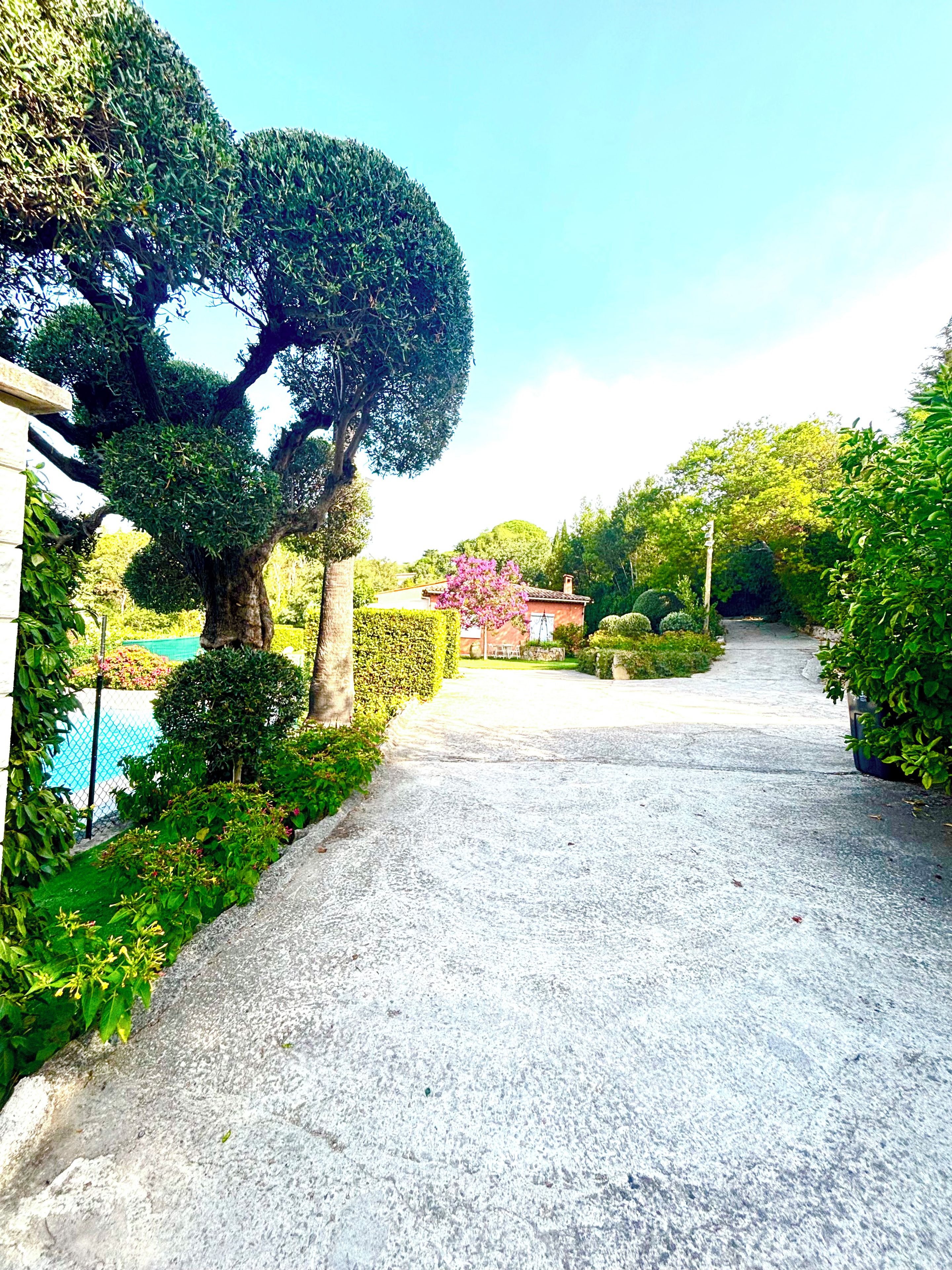 A gravel pathway leading through a landscaped garden with various trees and shrubs.