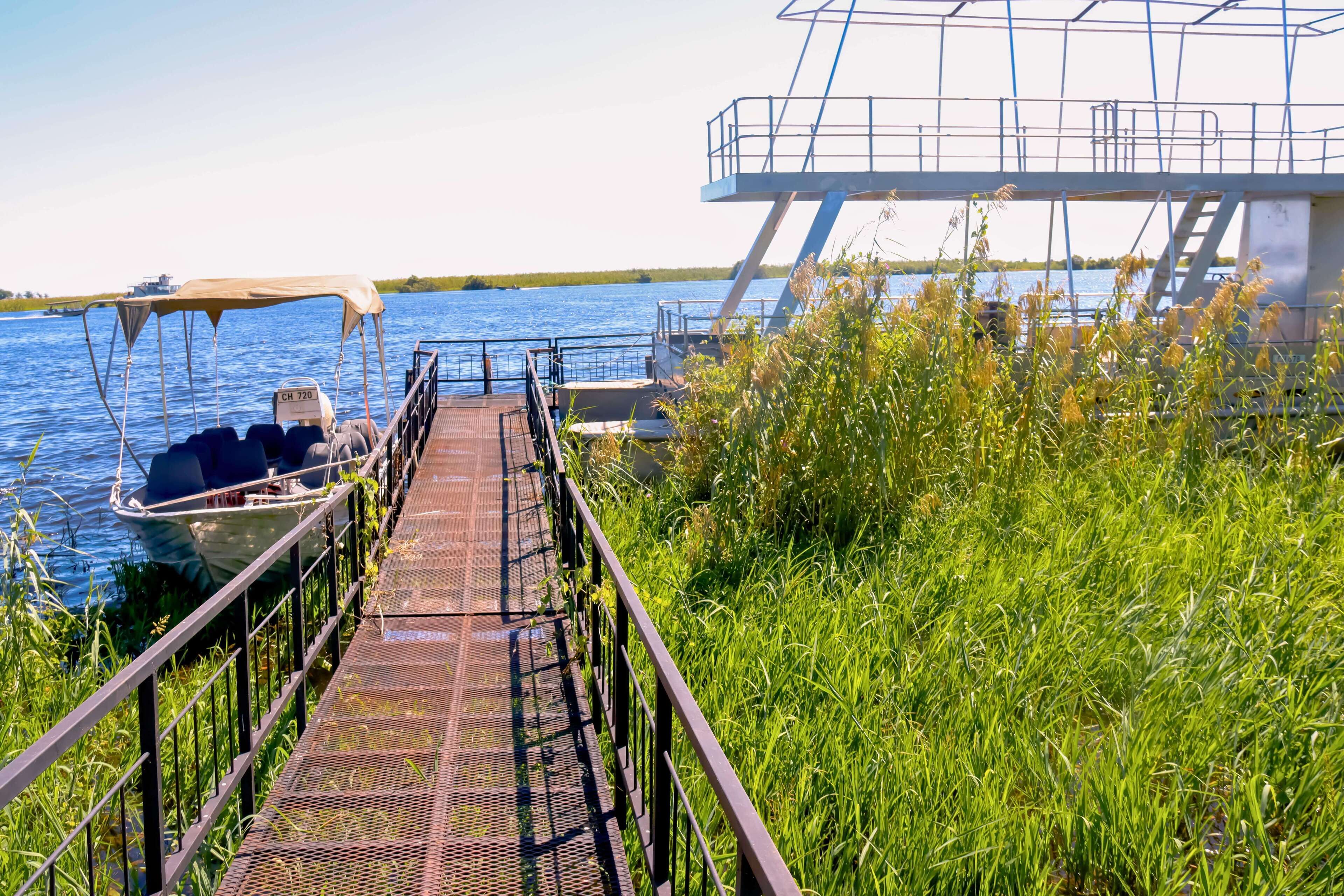 Un muelle metálico que conduce a un bote, rodeado de hierba alta y un cielo azul despejado.