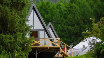 Cabin, Multiple Beds, Mountain View | Laptop workspace, iron/ironing board, free WiFi