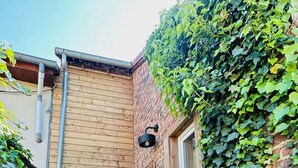 Un estrecho callejón con un muro de madera y un muro de ladrillo cubierto de hiedra. Hay escalones que conducen a una puerta y una ventana en el muro de ladrillo.