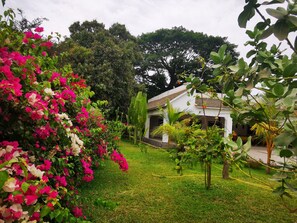 Property grounds - Zwembad, 2 km van het Strand en een Heerlijk Huis en Tuin to Relax (Sanyang)