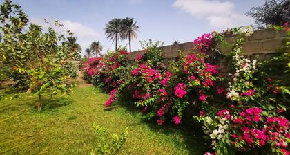 Zwembad, 2 km van het Strand en een Heerlijk Huis en Tuin to Relax