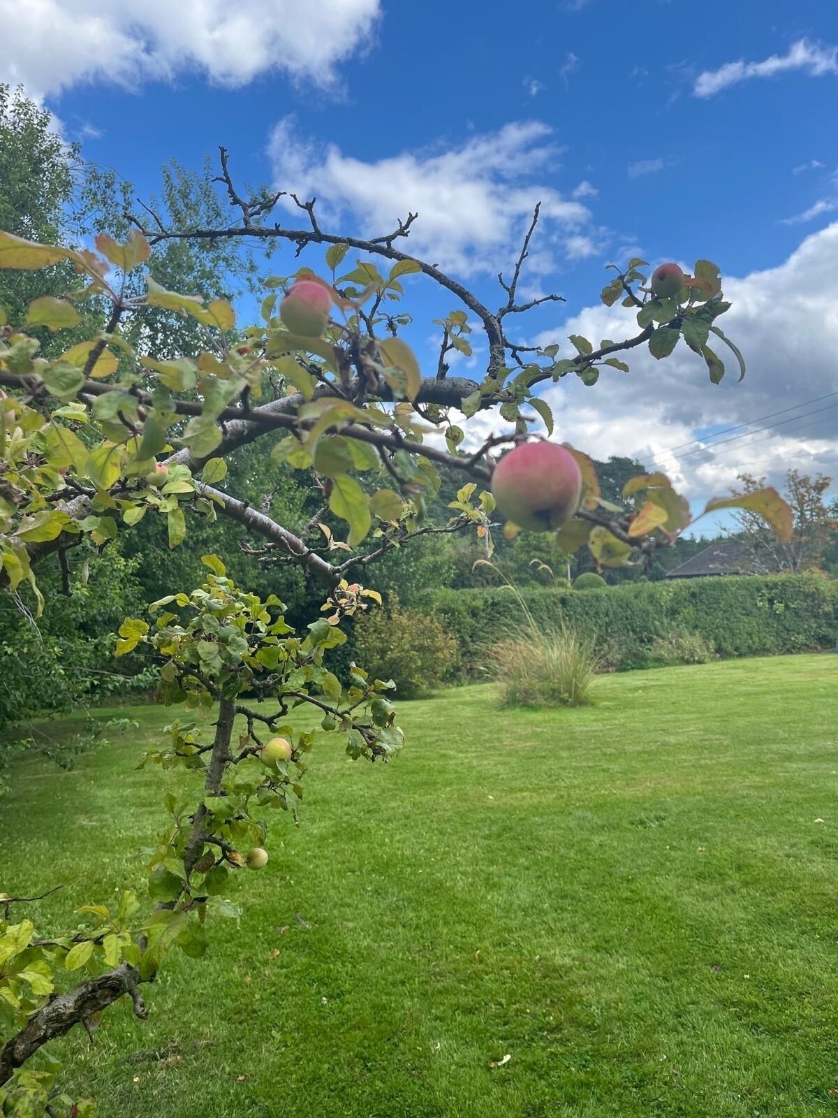 Áreas de la propiedad