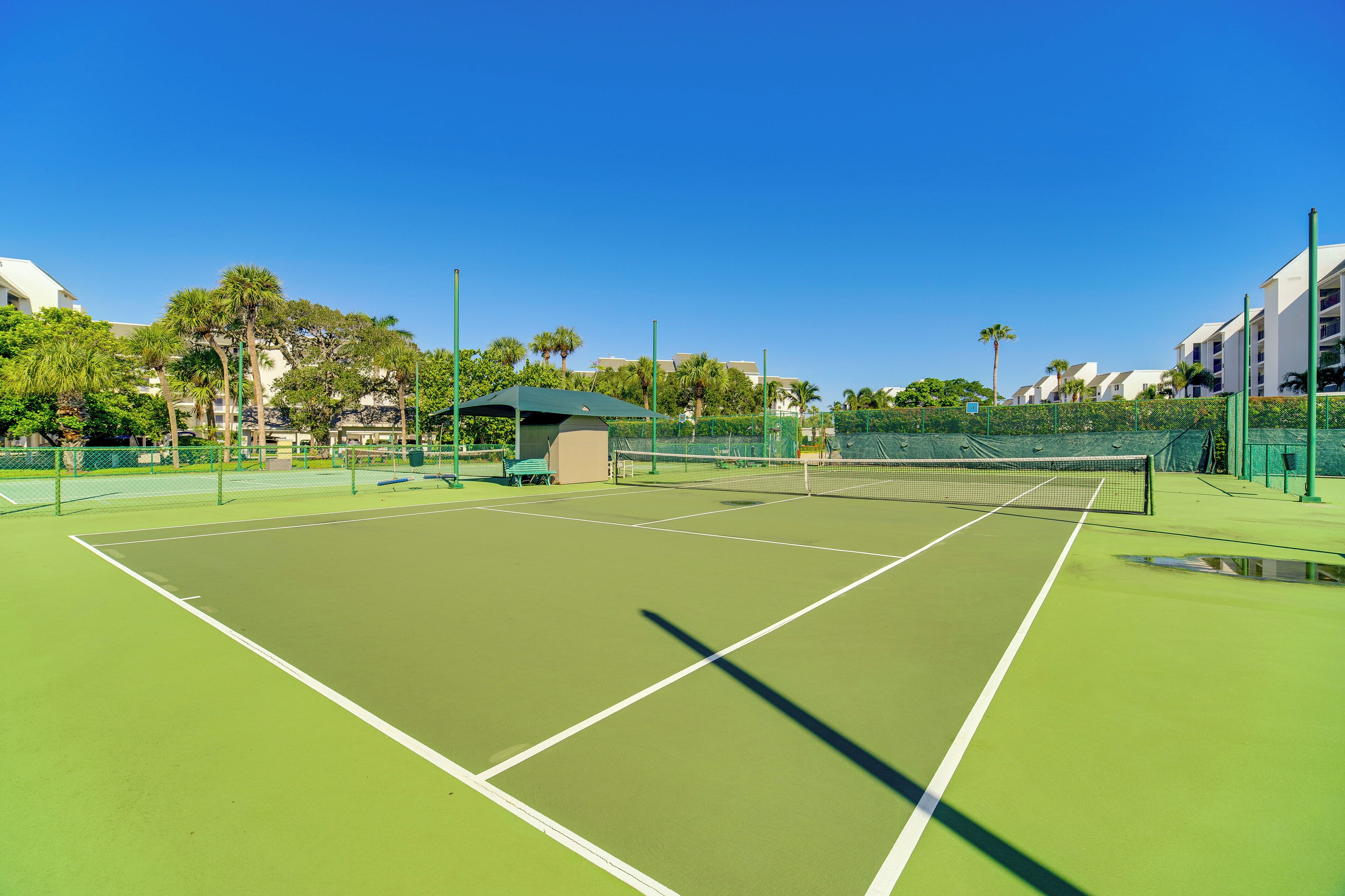 An outdoor tennis court with a green surface, surrounded by a fence and trees.
