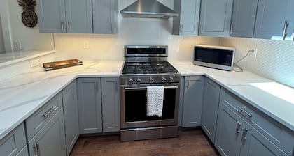 Lovely Newly Renovated Downtown Apartment