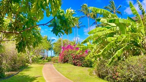 Un sendero serpentea por un exuberante jardín con palmeras de plátano y flores de buganvilla rosadas.
