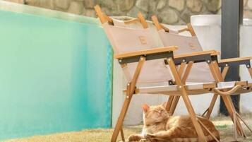 Khuôn viên nơi lưu trú