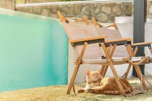 Property grounds - Yuanshan Hostel (Deqing)