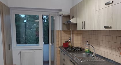 Apartament liniÈtit Ăźn apropierea parcului central