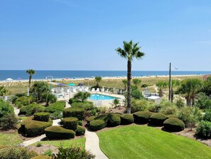 Un espace paysager agrémenté d’une piscine, de palmiers et offrant une vue sur la plage.