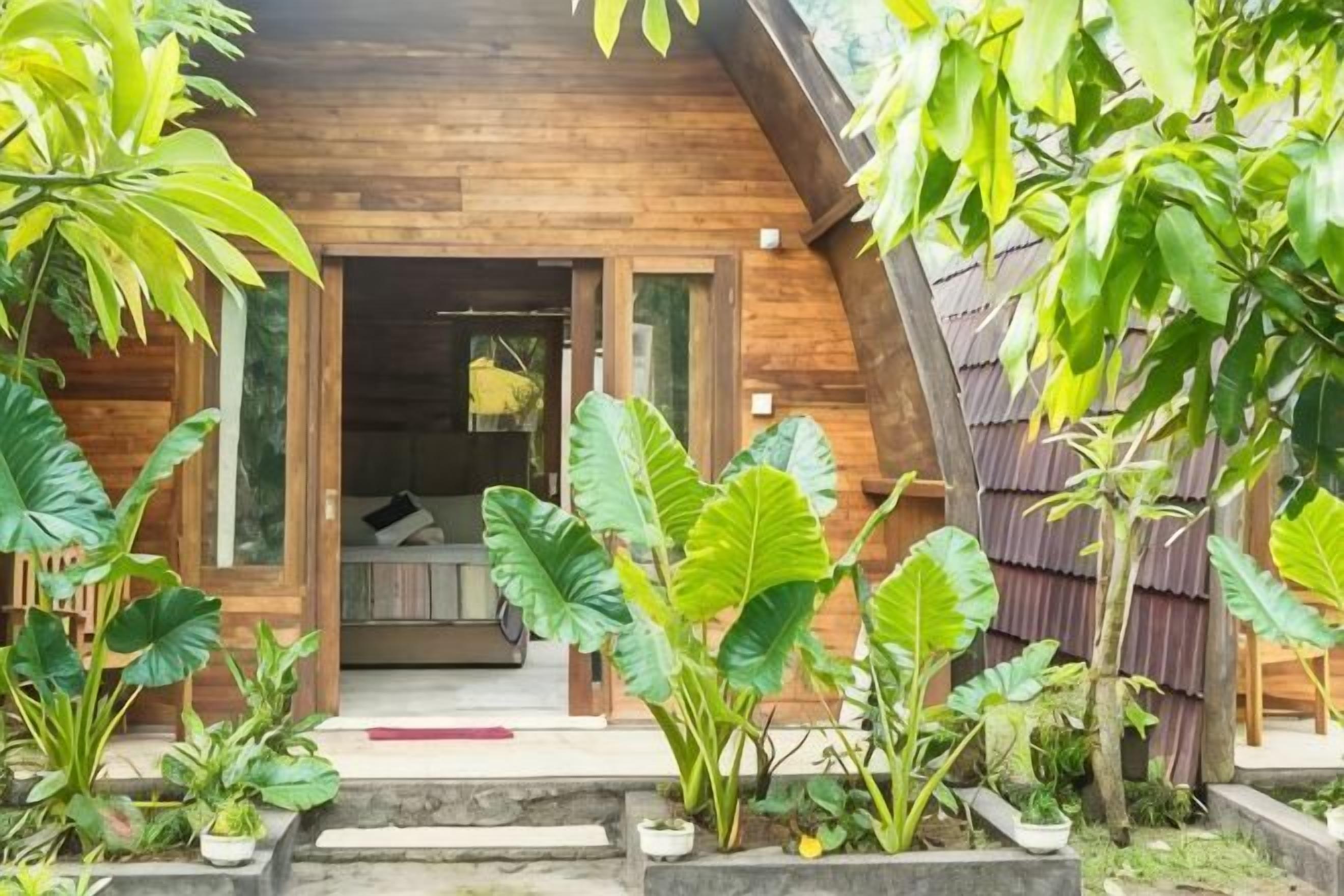 A wooden cabin with a porch, surrounded by large tropical plants.