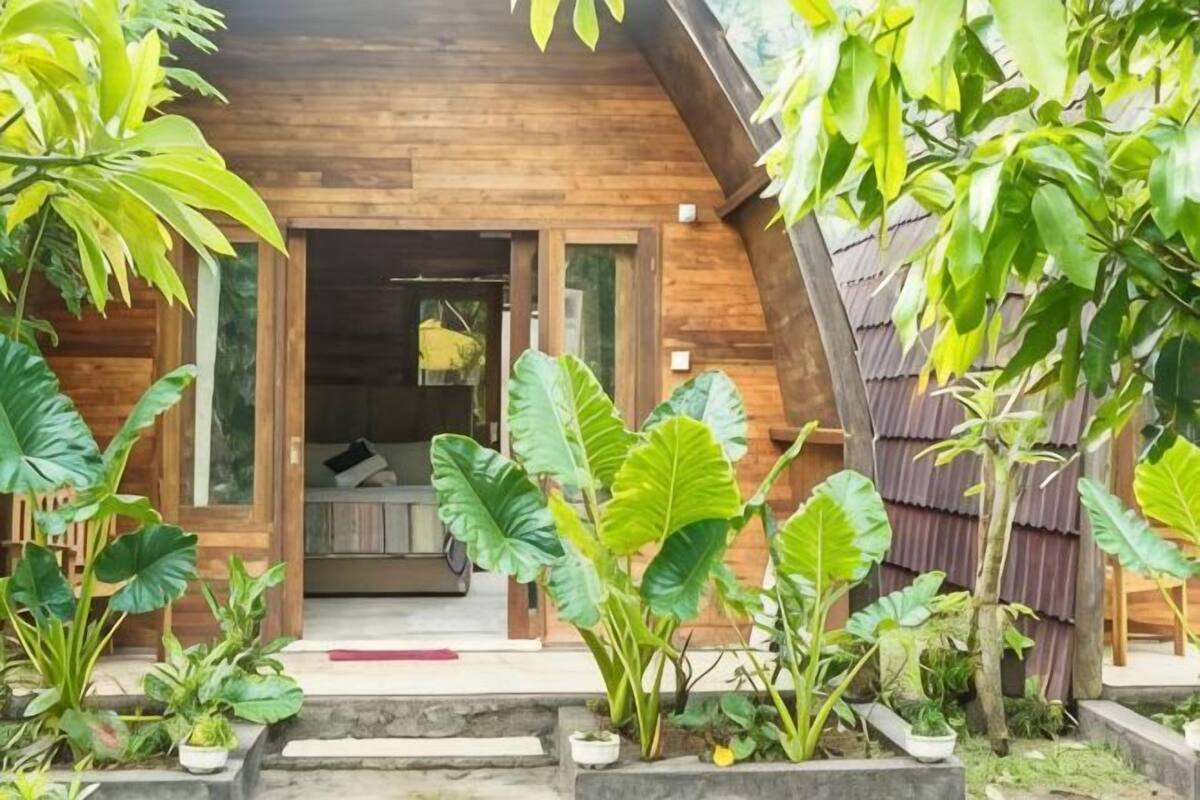 Een houten hutje met een veranda, omringd door weelderige tropische planten.