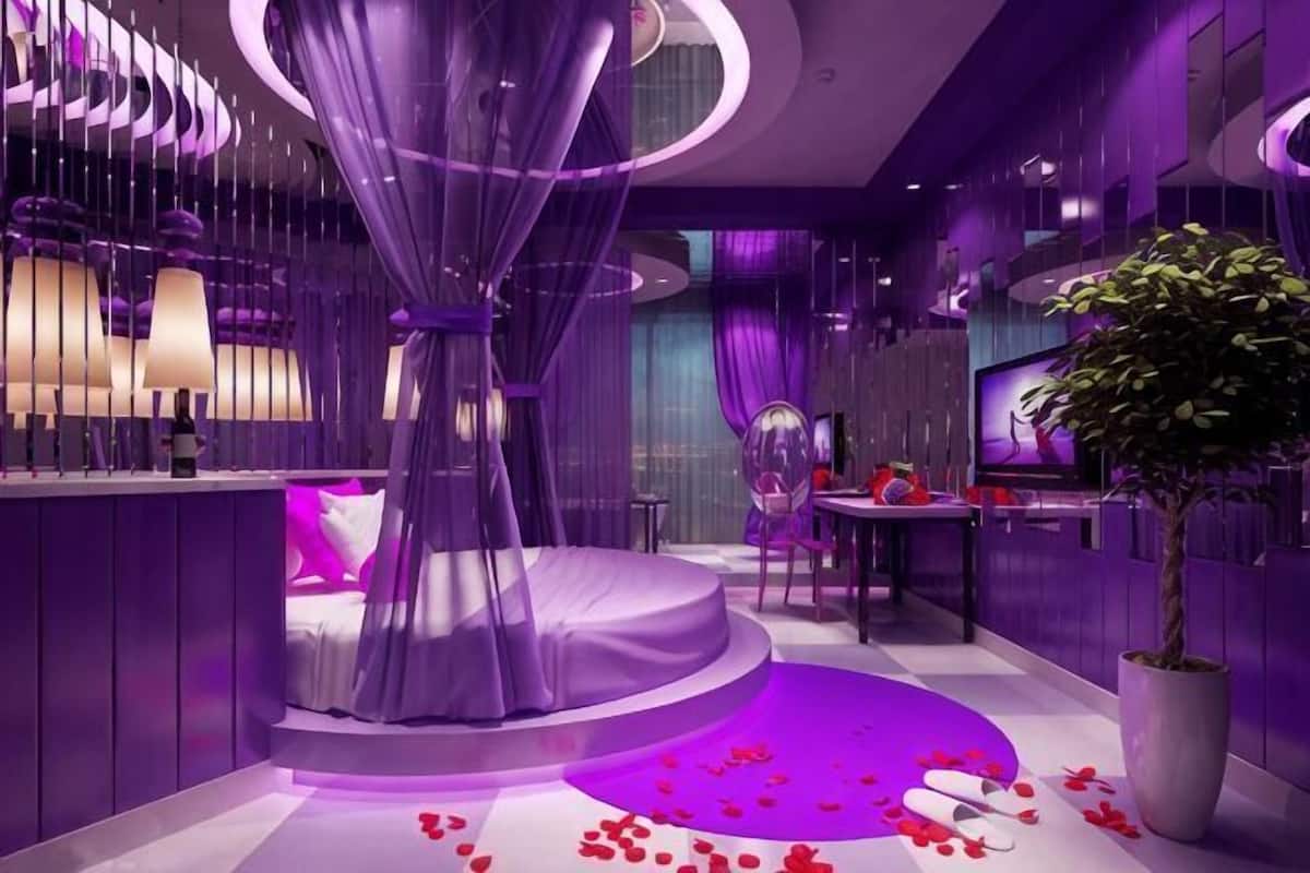 A modern hotel room with a circular bed, a large potted plant, and a purple-themed decor.