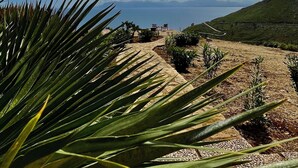 A paved pathway leading to a seating area with chairs, surrounded by greenery and a view of distant mountains and a body of water. - Cri's house 3km from the Zingaro Nature Reserve (san vito lo capo)