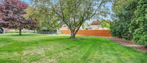 A well-maintained lawn with a large tree and a wooden fence in the background.
