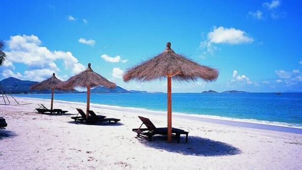 Une plage avec des chaises longues et des parasols en chaume, un ciel bleu dégagé et une mer calme.