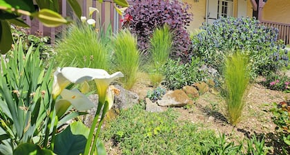 Villa de Charme Avec Piscine - Idéale Pour des Vacances en Famille ou Entre Amis