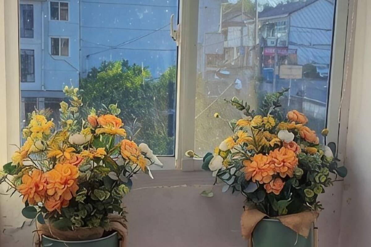 Twee bloeiende planten in potten op een vensterbank.