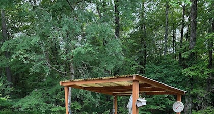 Sardis Fish Camp north side near Holiday Lodge/Teckville, 1 mile from boat ramp