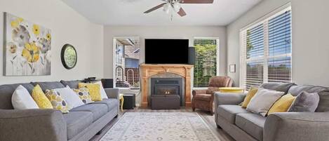 TV connectée, cheminée, lecteur de DVD, chaîne hi-fi