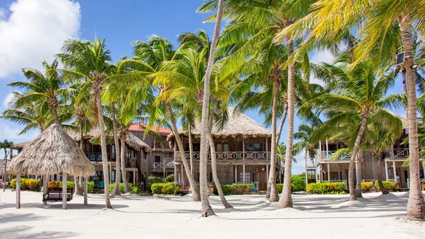 Un hotel frente a la playa con estructuras de techo de paja, palmeras y una playa arenosa.