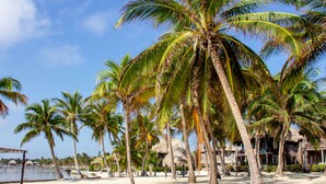 Una playa con palmeras y cabañas de techo de paja.