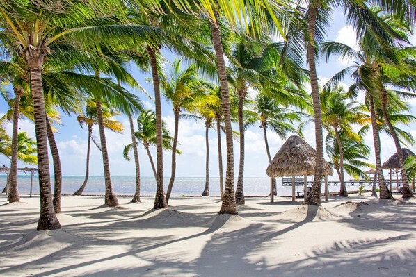 A beach with palm trees and thatched-roof structures. - Villas De Isla Bonita - E2 (San Pedro)