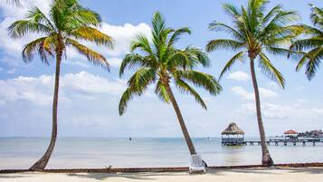 Standard Villa, Sea View | View from property
