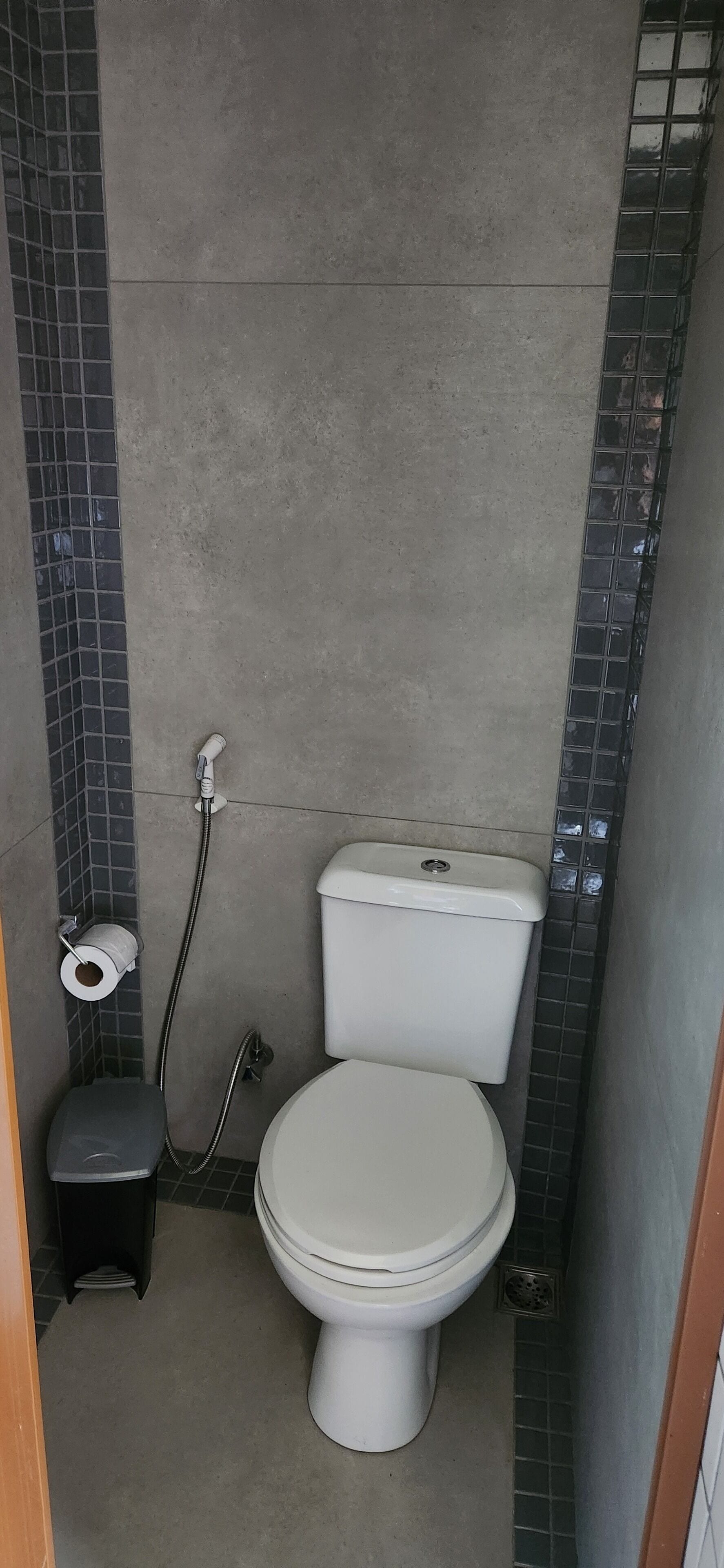 Um banheiro pequeno com vaso sanitário, chuveiro e rolo de papel higiênico.