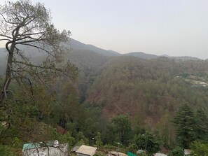 Eine gebirgige Landschaft mit dichtem Wald und einigen Gebäuden am Fuße.