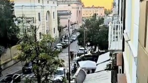 Vista de una calle con coches estacionados, un árbol y edificios al fondo.