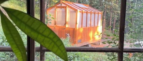 المنشأة من الداخل