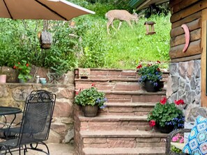 Outdoor dining - Quintessential Colorado Cabin  (Indian Hills)