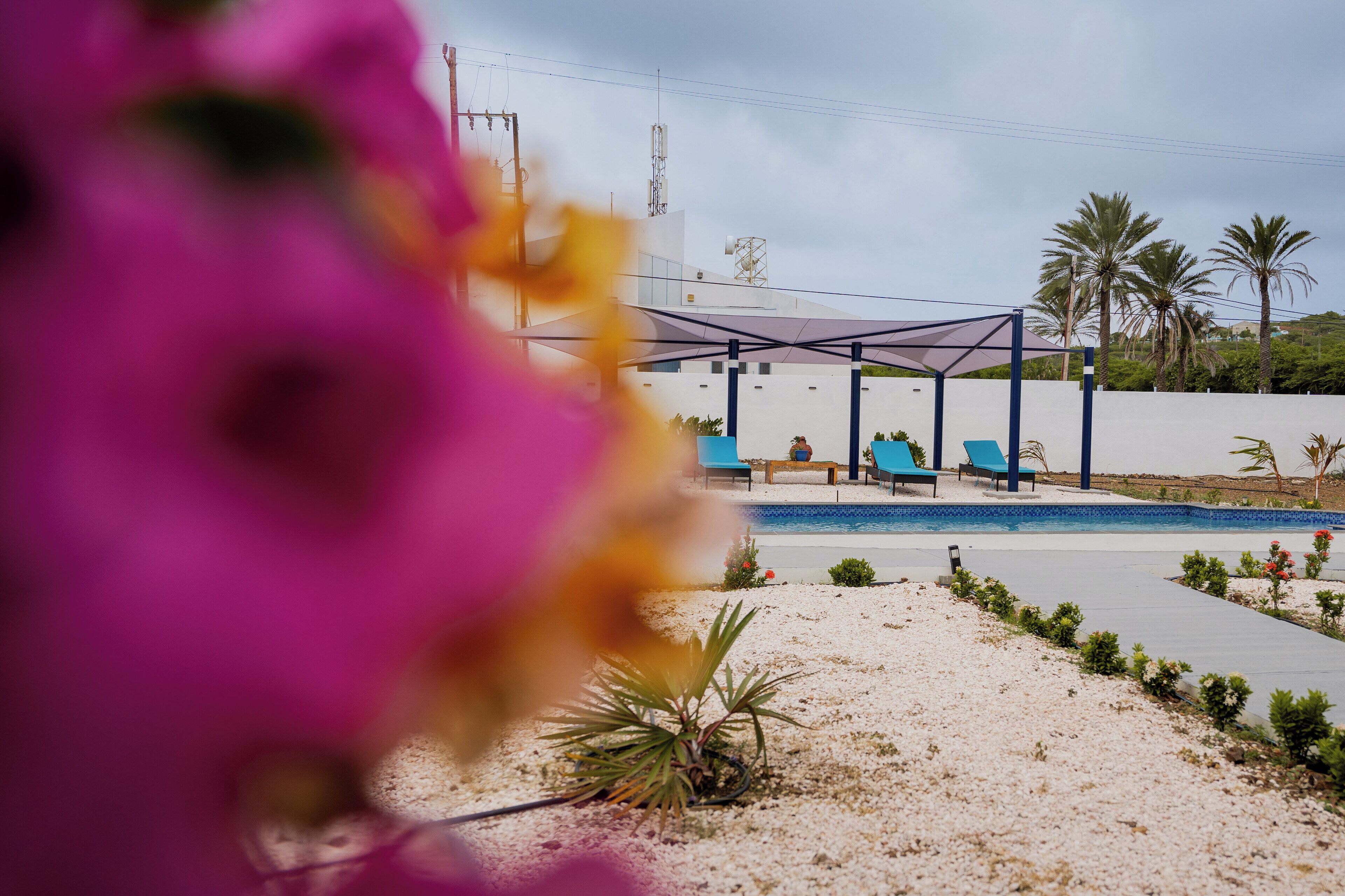 Foto - Dushi Vida Country Inn