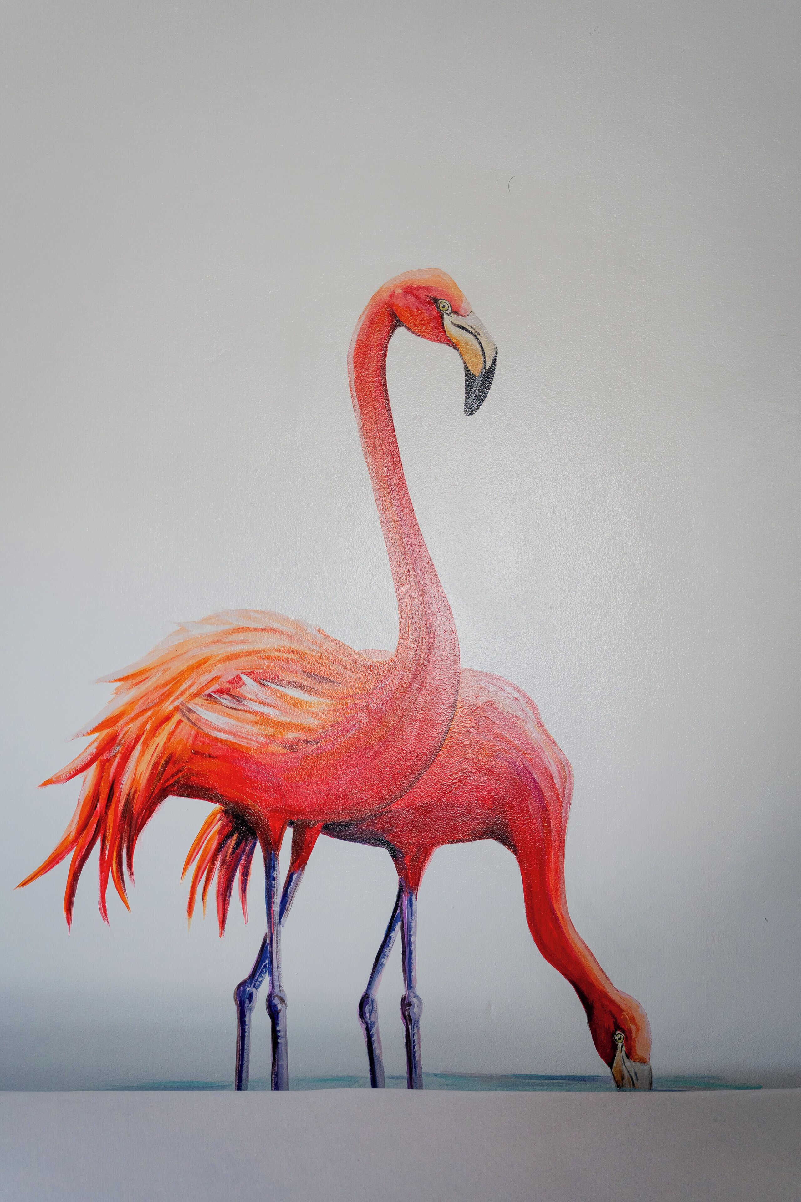 Foto - Dushi Vida Country Inn