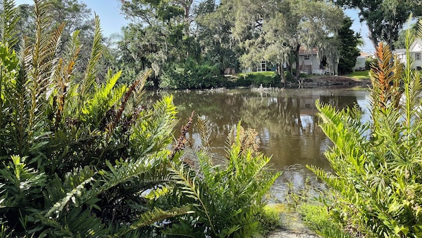 A serene lakeside view with dense foliage and a calm water body. - Florida Beach Cottage 3BR-2BA + Den (Nokomis)