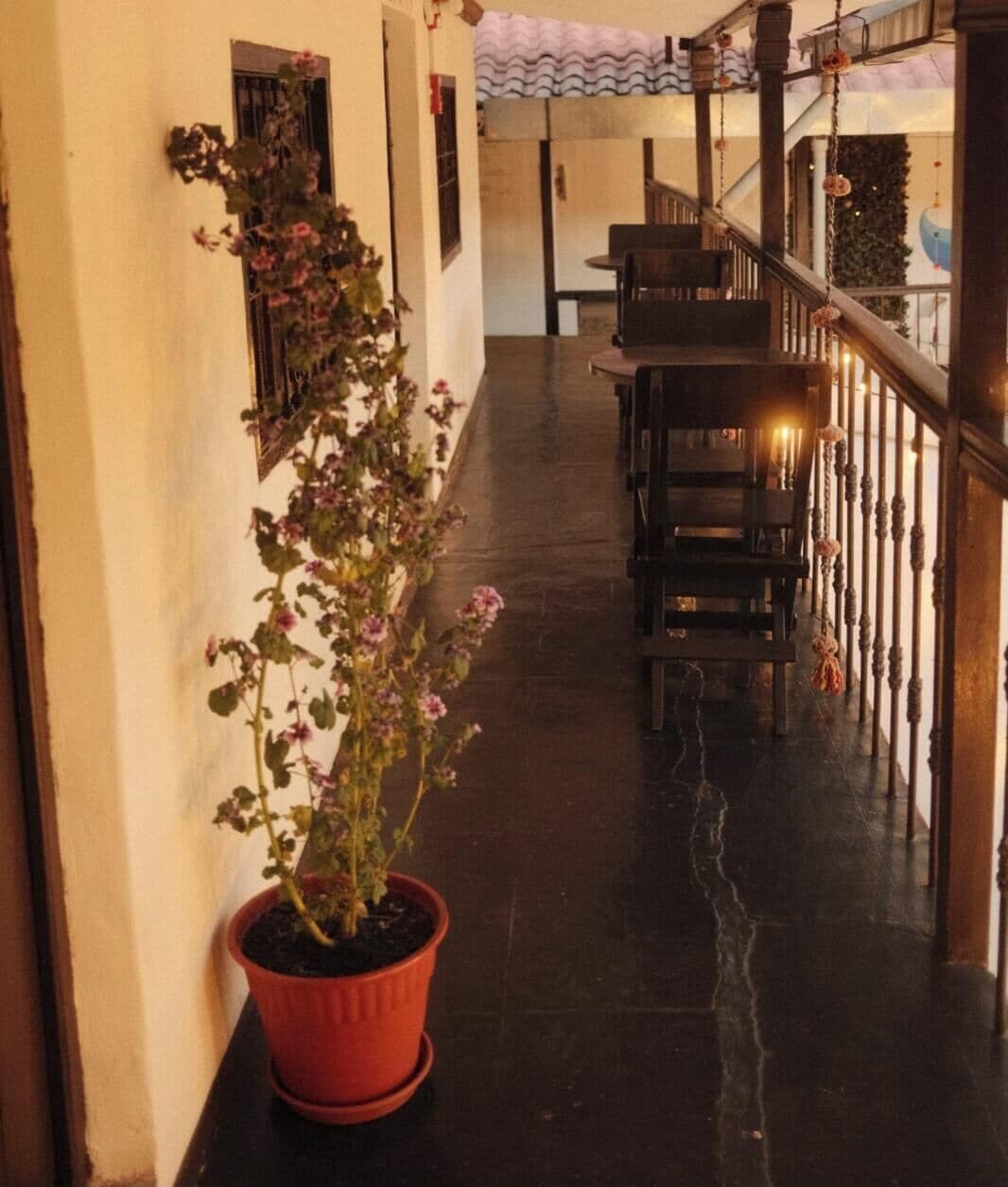 Foto - Terra House