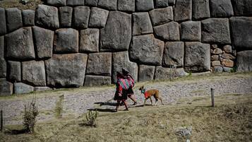 Un muro de piedra con una persona y un perro al frente.