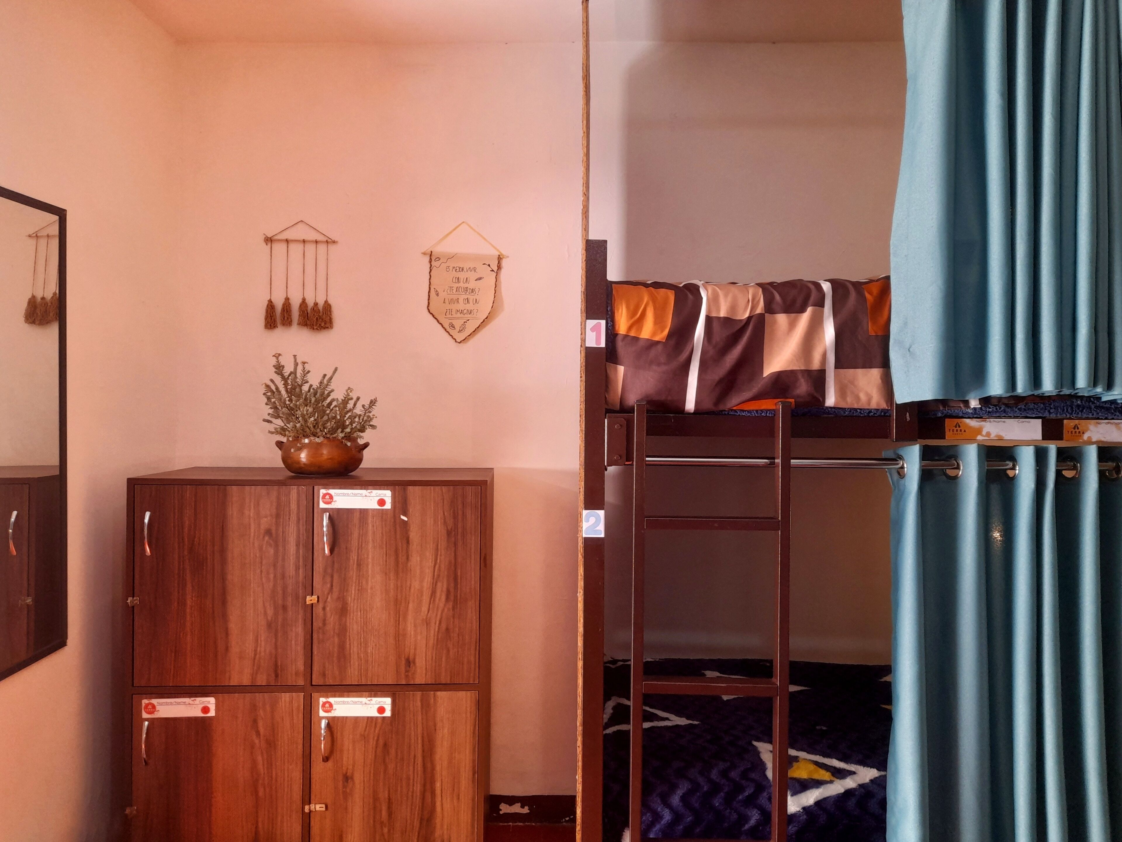 A bunk bed with a striped blanket, a wooden wardrobe with a plant on top, and a wall with a hanging ornament and a framed quote.