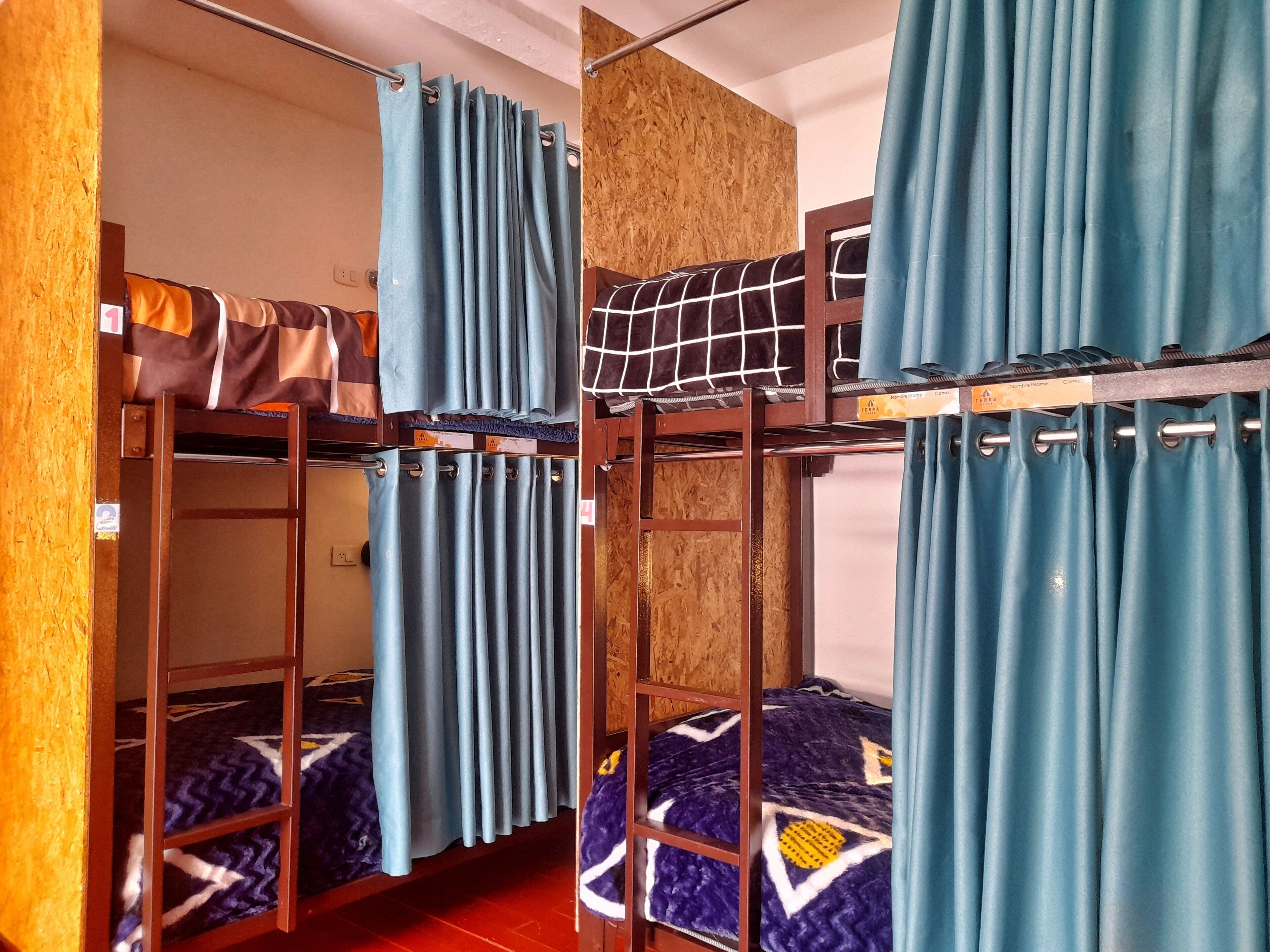 Classic Shared Dormitory, Courtyard View
