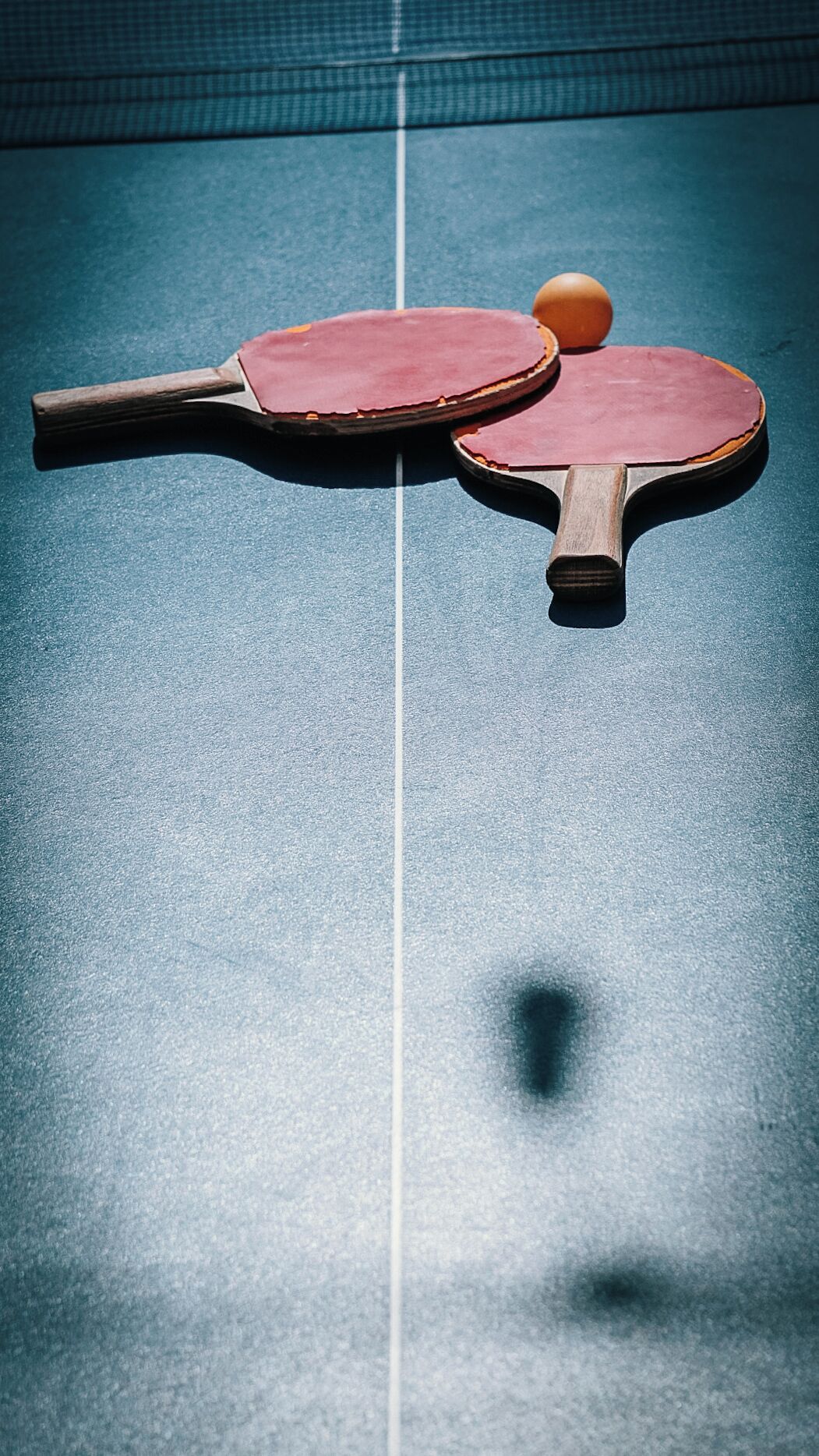 Foto - Terra House Hostel