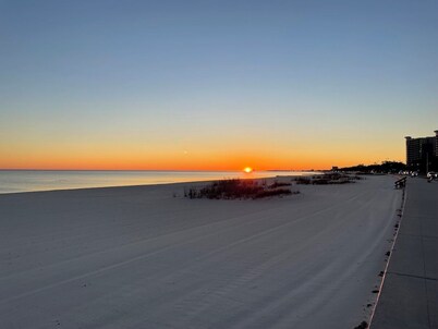 Cozy Condo Steps from the Gulf. Private, quiet but minutes from everything.