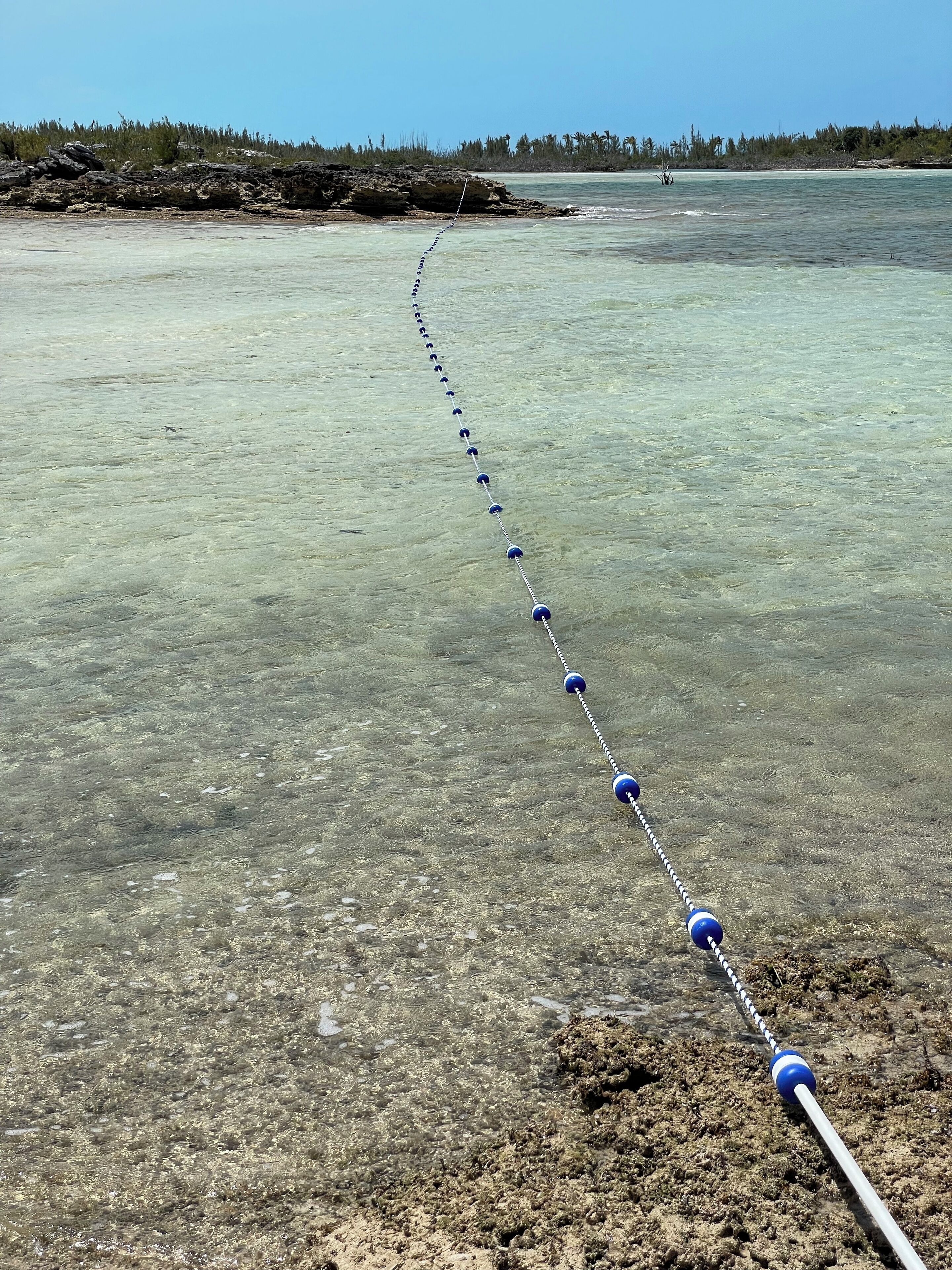 A clear view of a beach with a rope laid out across the water.