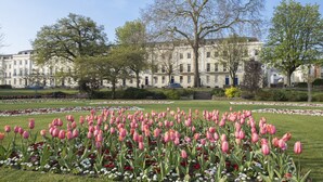A garden with pink tulips and white flowers, surrounded by a building with multiple windows and doors. - Luxurious 1 Bed Detached Home with Gated Parking (Cheltenham)