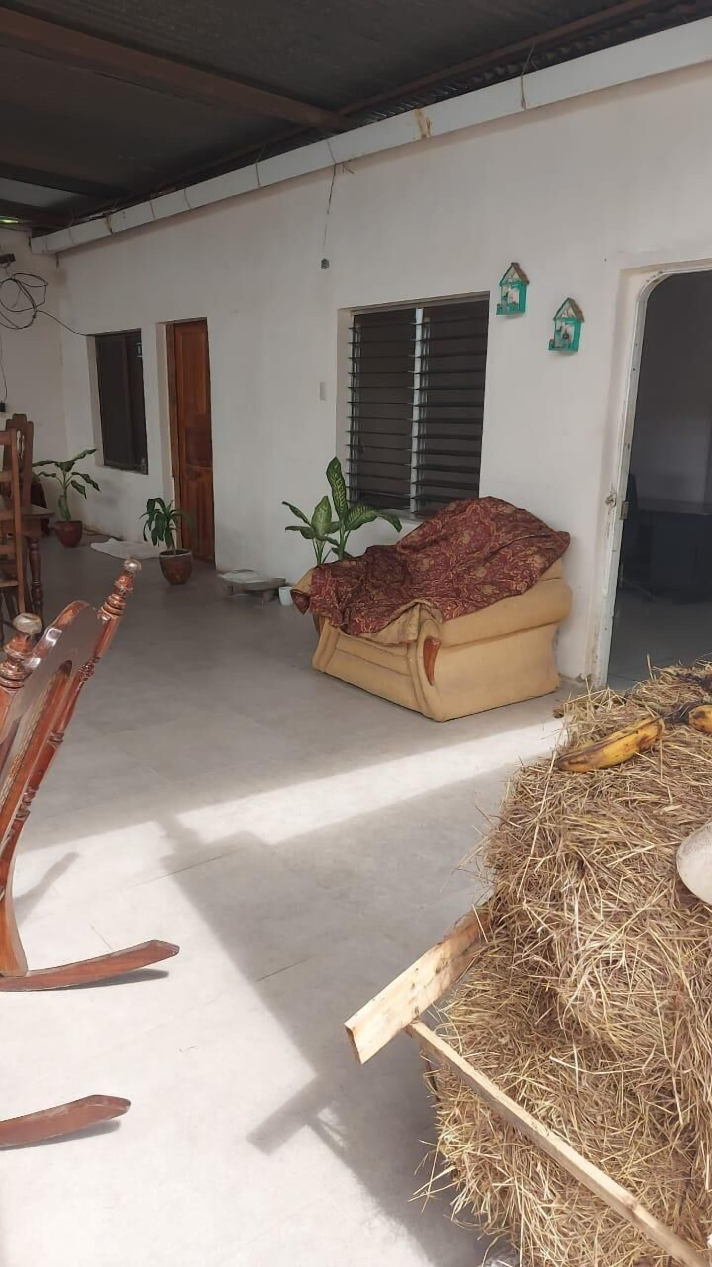 Habitación estándar | Área de sala de estar