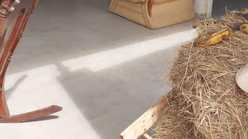 Habitación estándar | Área de sala de estar